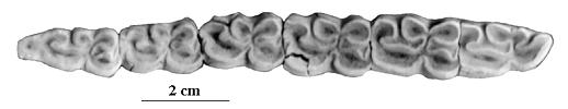 BA 2061, AD 16