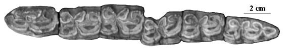 Q3, AM 522, JI