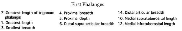 Fig. 12 captions