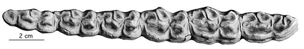 NY 57206, HM 39