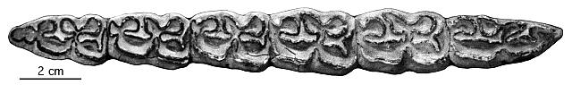 Halle Ewld 4, P 81