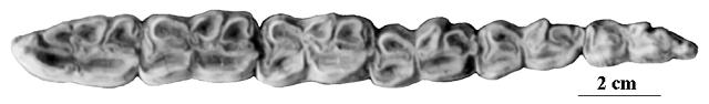 Q12, BA 2860, JI